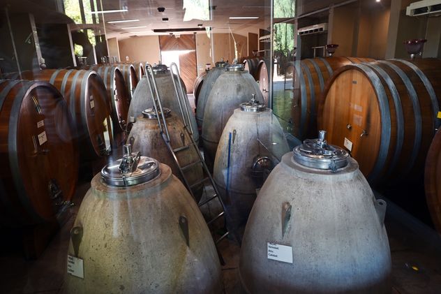 Marcelo Belmonte, gerente de enología de Grupo Peñaflor, en la bodega Trapiche, con una muestra de los diferentes suelos y paisajes que trabaja.