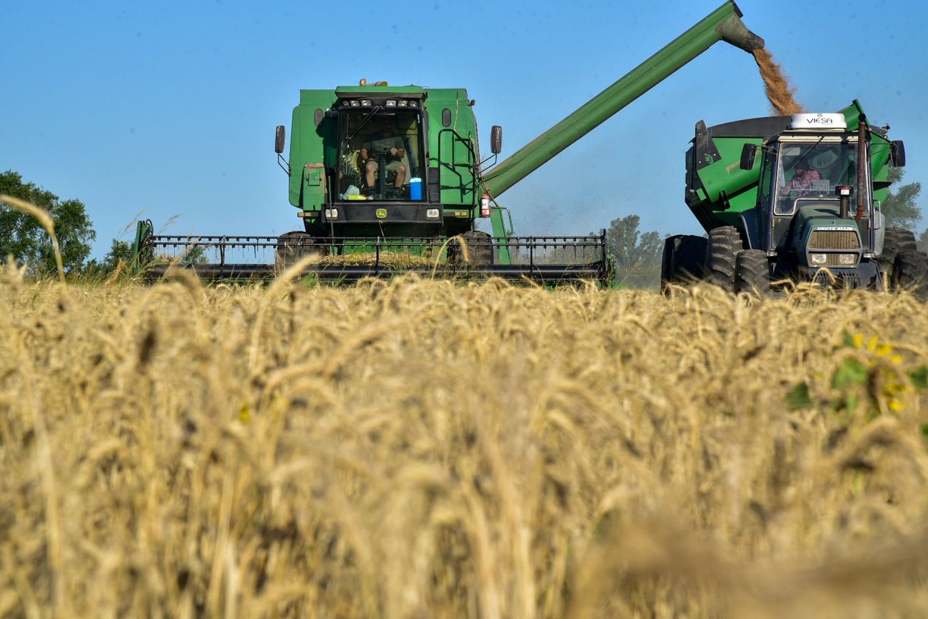 Grupo del Plata se especializó en productos del mercado de capitales para la actividad agropecuaria. (La Voz/Archivo)