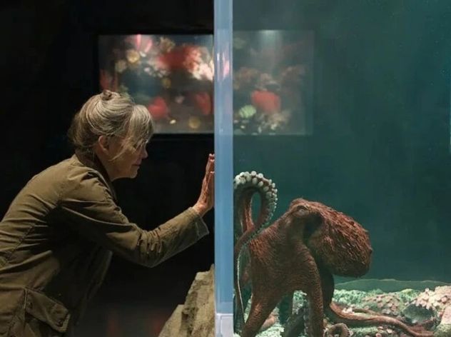 La conmovedora película de Netflix que conquista el ranking con una historia diferente.