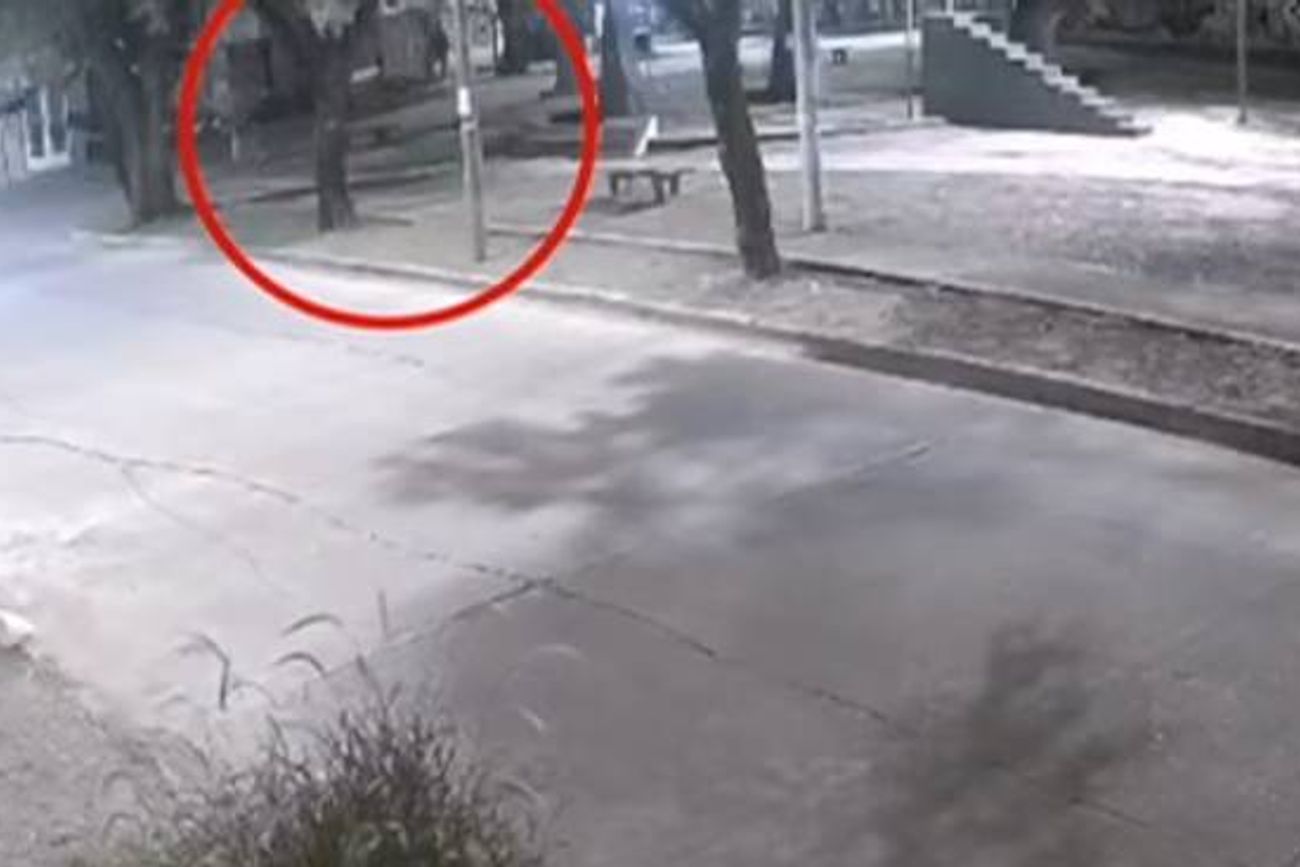 Vecinos denuncian entraderas y asaltos en Alto Alberdi y Residencial Santa Ana.