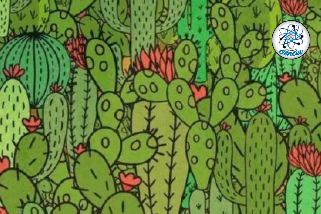 El acertijo visual.