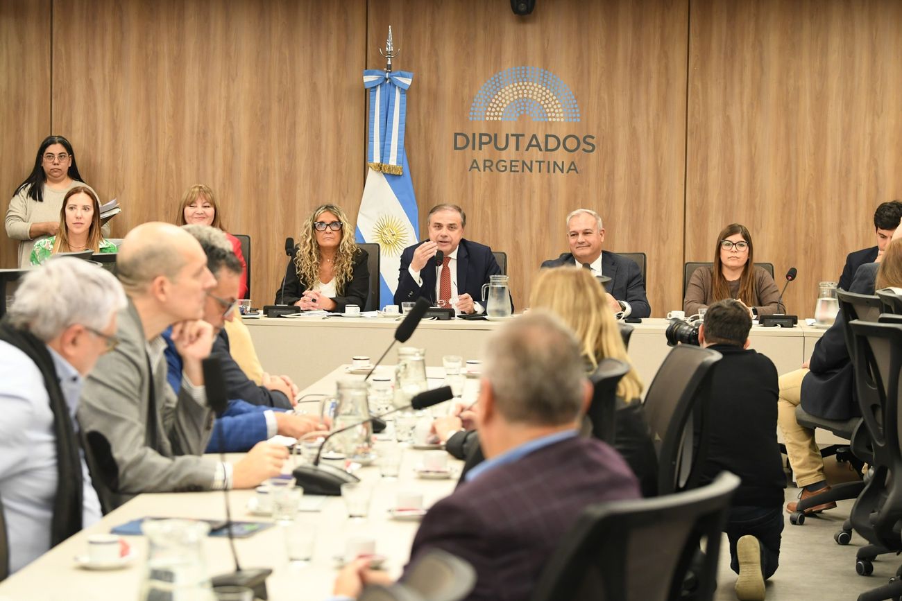 El sector automotriz expuso en las comisiones de Comercio y Pymes de Diputados