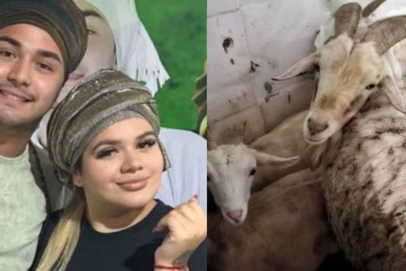 El templo que frecuentaba Morena Rial fue objeto de un operativo de rescate de animales. 