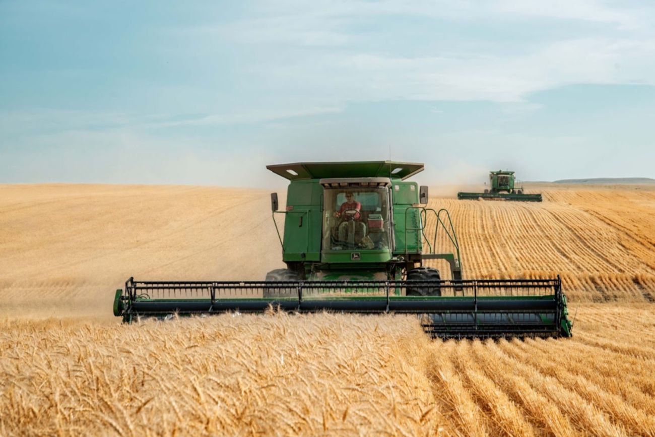 VOLUMEN. La necesidad de trigo que van a tener los molinos es un factor alcista para el precio interno del cereal.