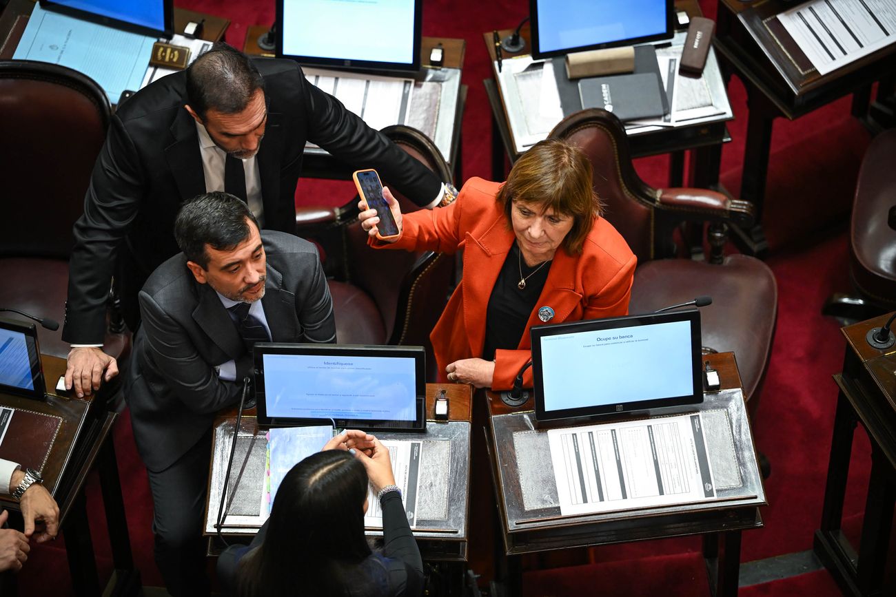Patricia Bullrich, jefa del bloque de senadores oficialistas