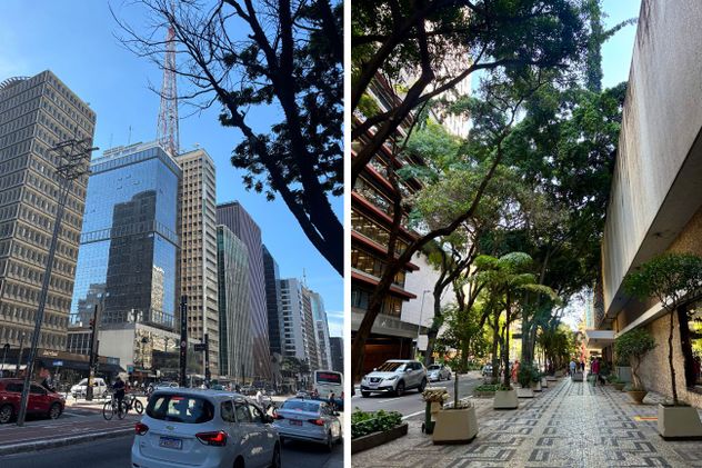 
São Paulo: una ciudad para recorrer con todos los sentidos  
