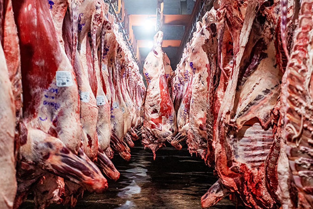 AUMENTOS. El desempeño comercial de Brasil se apoya además en los precios internacionales: el FOB promedio en abril fue 23% más alto que el de igual período de 2025.