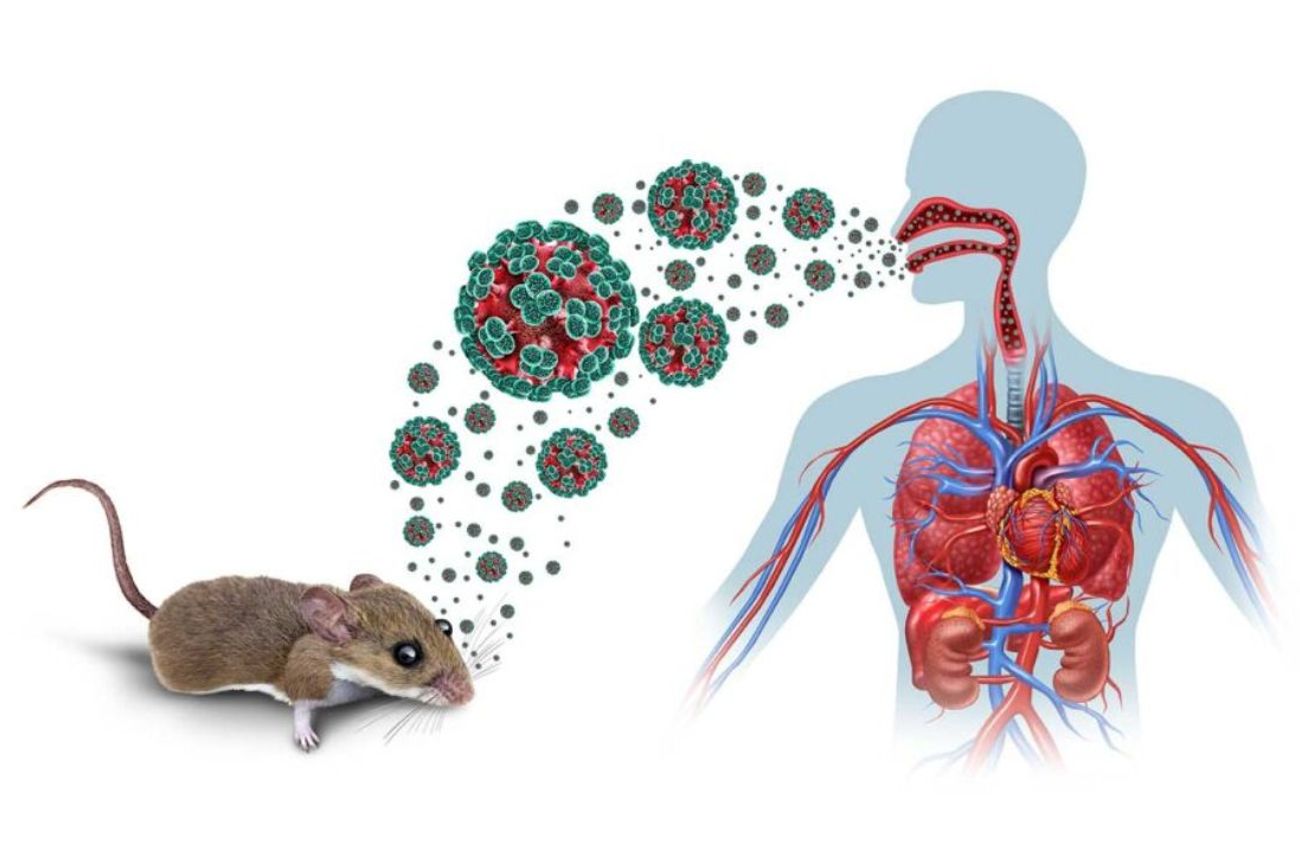 Conocer las medidas de prevención y consultar tempranamente ante síntomas compatibles sigue siendo fundamental. 