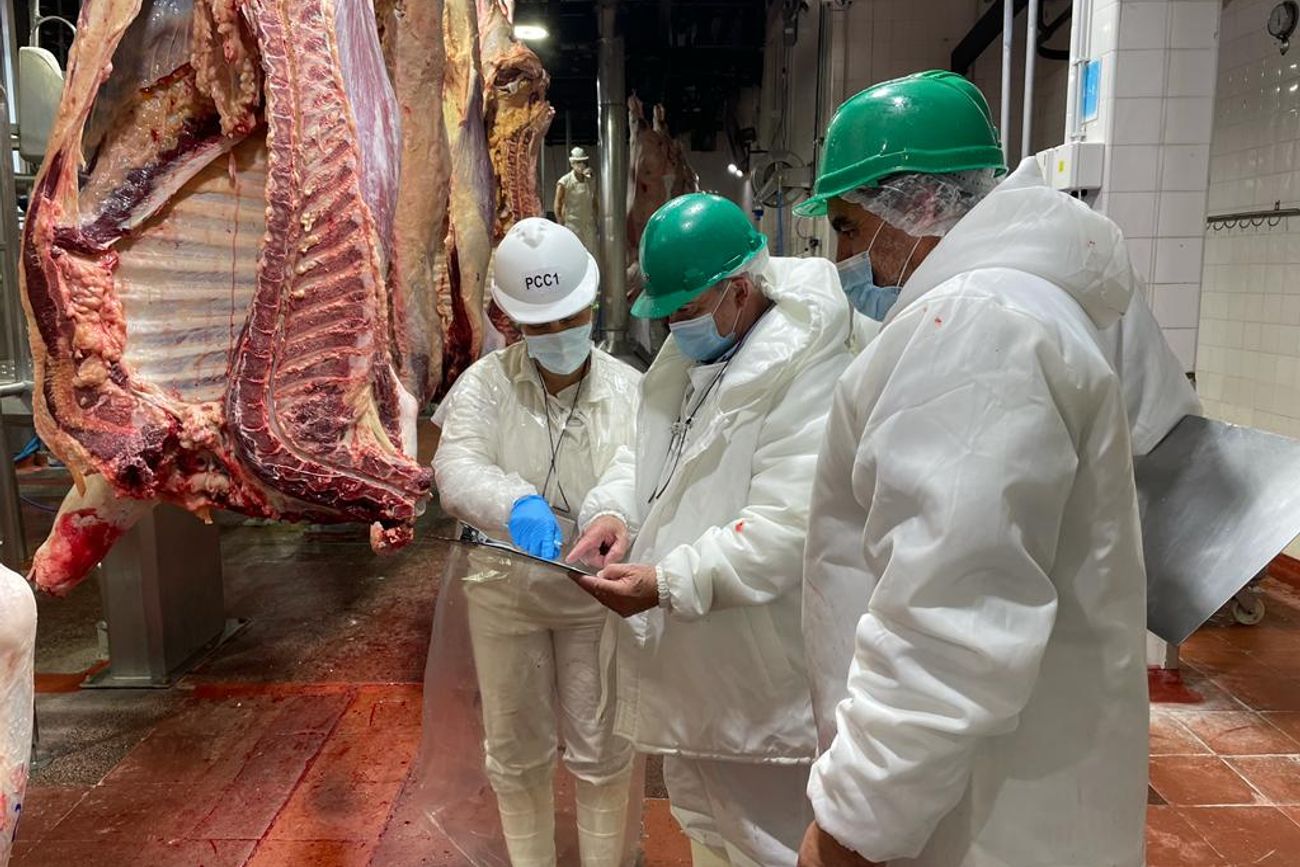 SIN EXPORTACIONES. Brasil se quedo sin exportaciones por incumplimientos sanitarios. Sus cuotas se repartirían entre el Mercosur.