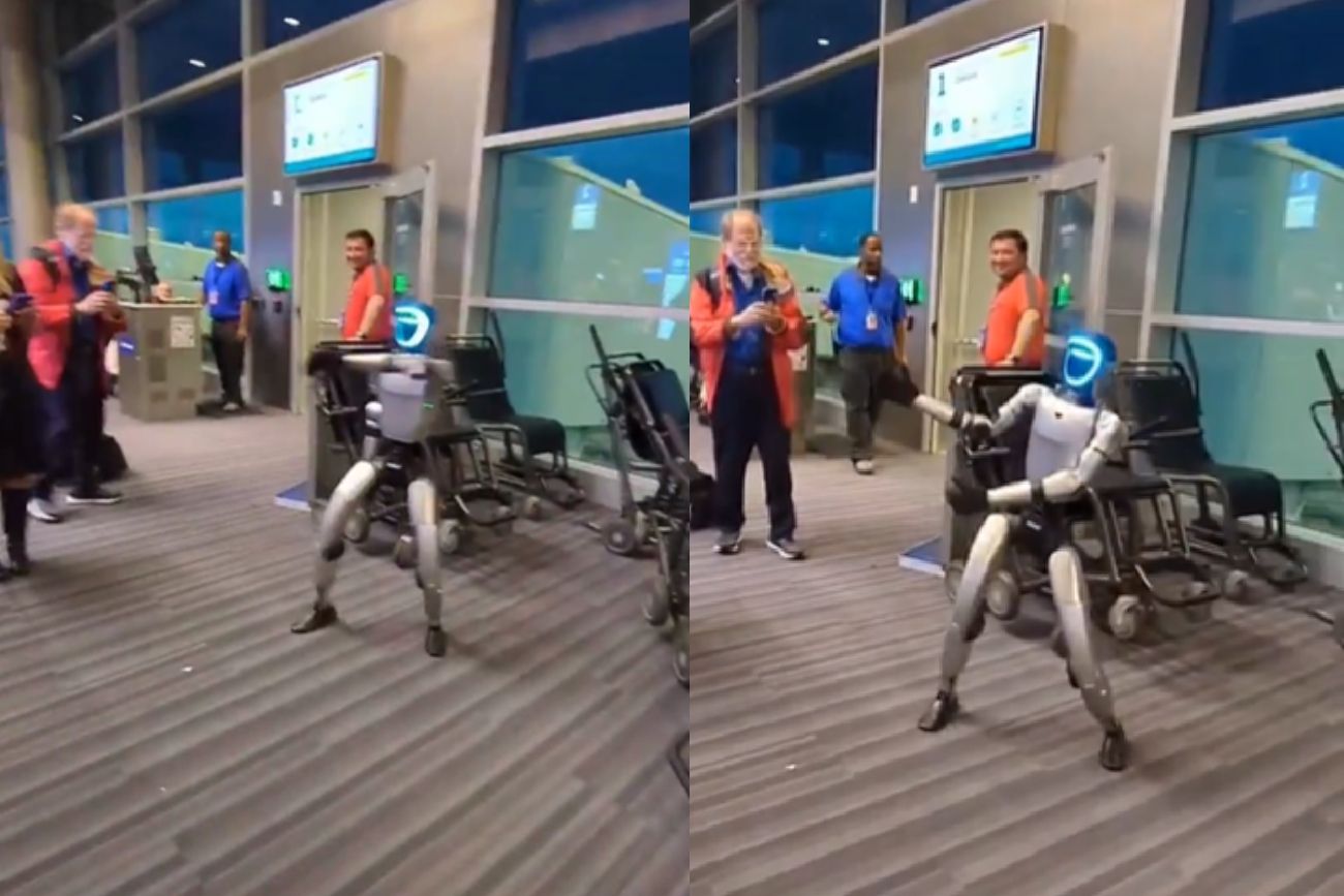 El robot.