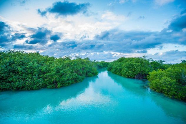 Maya Ka’an propone experiencias de turismo comunitario y sustentable entre selvas, lagunas y tradiciones vivas de la cultura maya.