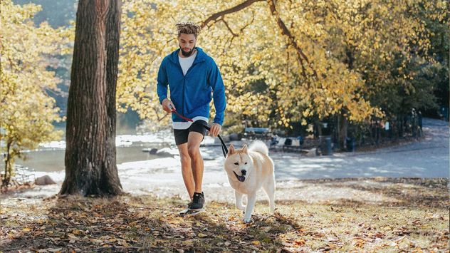 Para los perros, el paseo diario es una experiencia clave de exploración y estimulación a través del olfato.