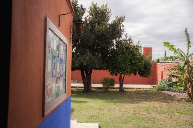 El naranjo y el laurel en el patio de la casona.