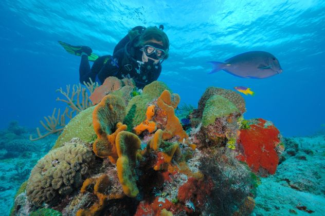 Cozumel se destaca por sus arrecifes coralinos, aguas cristalinas y algunas de las mejores experiencias de buceo y snorkel del Caribe.