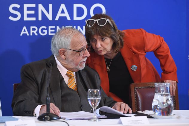 Patricia Bullrich, jefa del bloque oficialista, y Juan Carlos Pagotto, presidente de la Comisión de Acuerdos