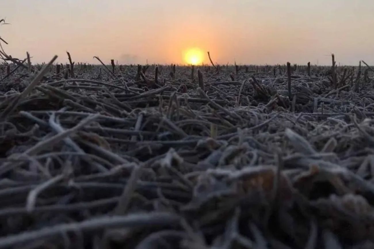 Posible ola polar en Argentina (Gentileza Juan Pablo Ioele)