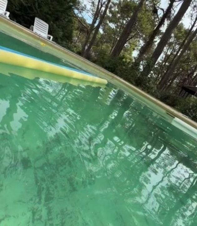 Así es la casa de Marley en Pinamar rodeada de bosque y estilo rústico.