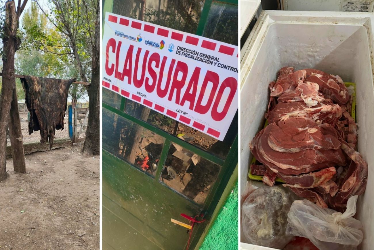 Clausuraron establecimientos por faenamiento clandestino en Hernando y decomisaron 150 kilos de carne