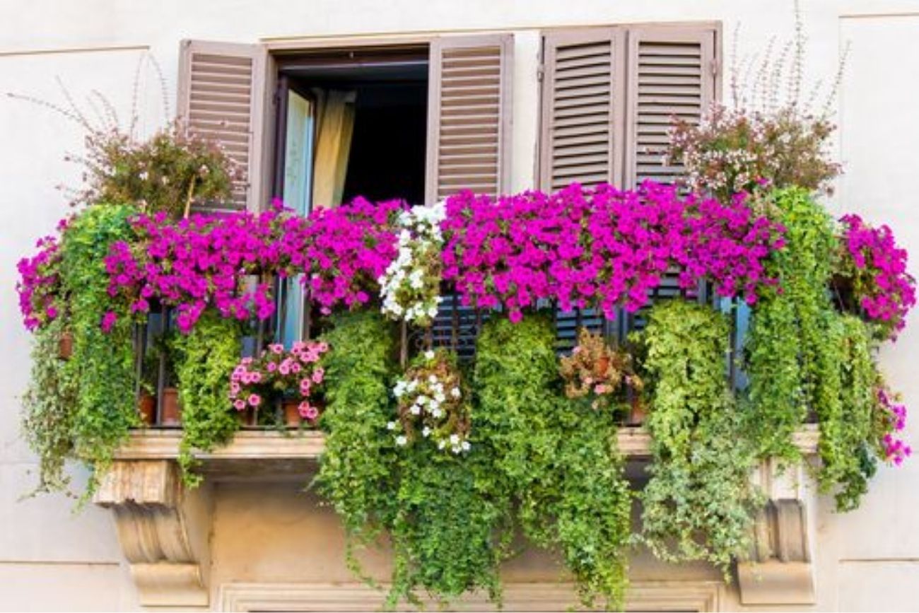Tres plantas ideales para llenar de color el balcón y aprovechar el espacio