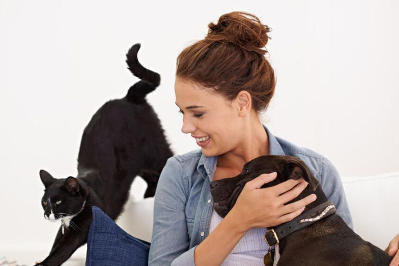 Cuáles son los gastos que hay que tener en cuenta para adoptar una mascota