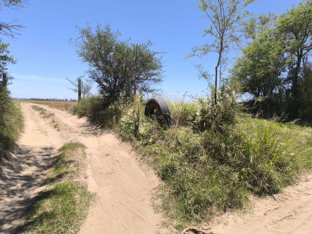 Parricidio en Almafuerte. La zona rural donde ocurrió el hecho. 