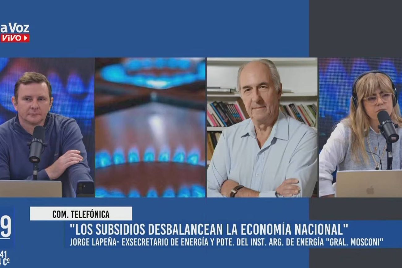 El exsecretario de Energía de la Nación, Jorge Lapeña, en La Voz en Vivo.