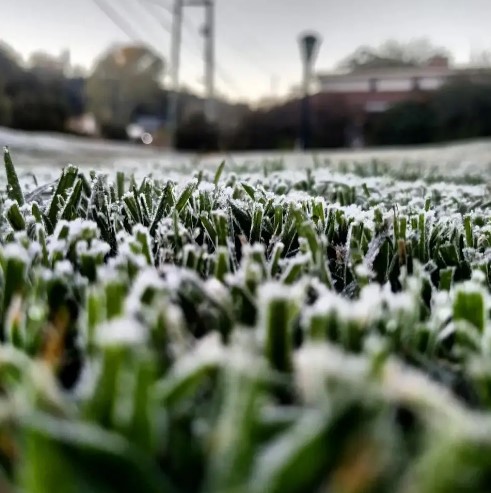 HELADAS. El registro más bajo de la jornada se dio en Calamuchita, precisamente en Los Reartes donde se alcanzó los -3,5 °C.