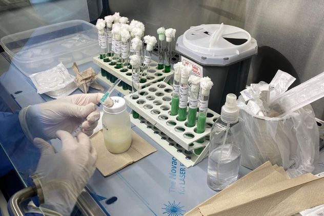 Día de la Donación de Leche Materna: cómo funciona la red voluntaria que salva vidas de bebés en Córdoba
