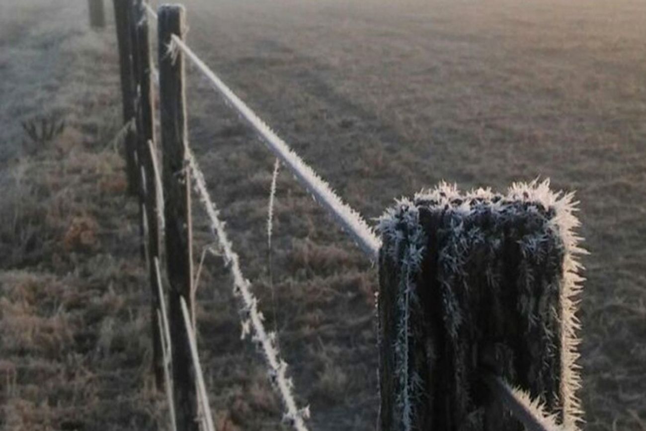 HELADAS. La mínima llegó a -3,8 °C en Los Reartes.