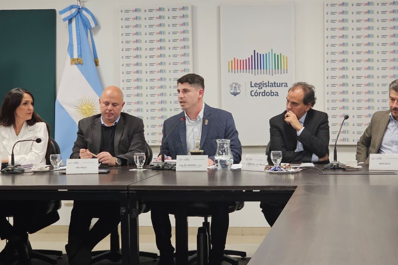 Legisladores participaron en la reunión de la Comisión de Tecnología. 