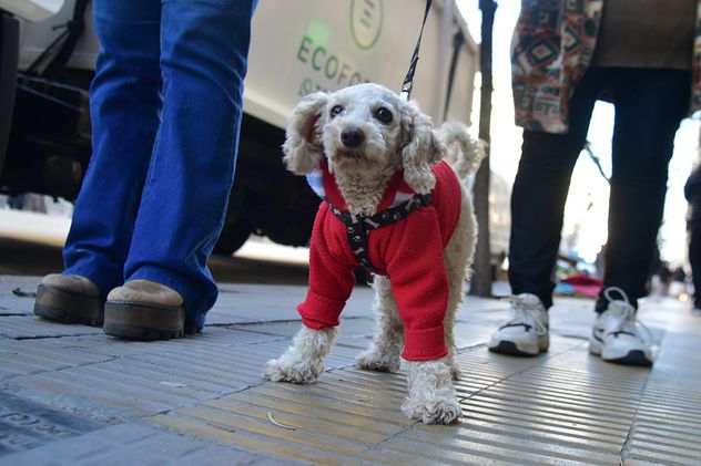 El frío llegó con fuerza a la ciudad de Córdoba.