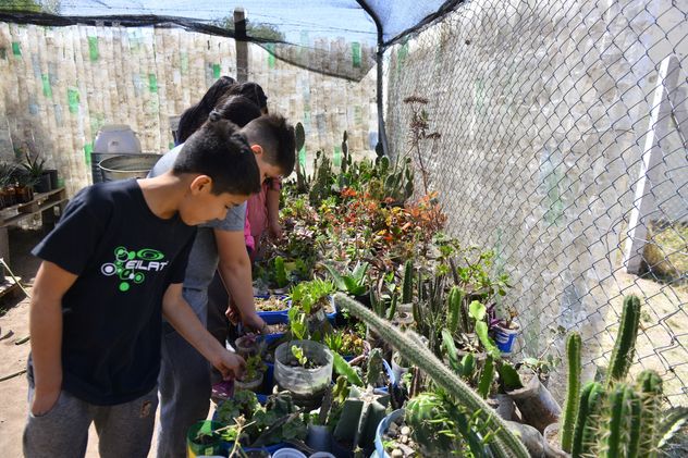 Convocatoria. Para que estudiantes de secundaria presentes proyectos para el cuidado del medio ambiente. 