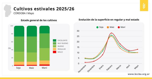 El estado y la evolución de los cultivos.