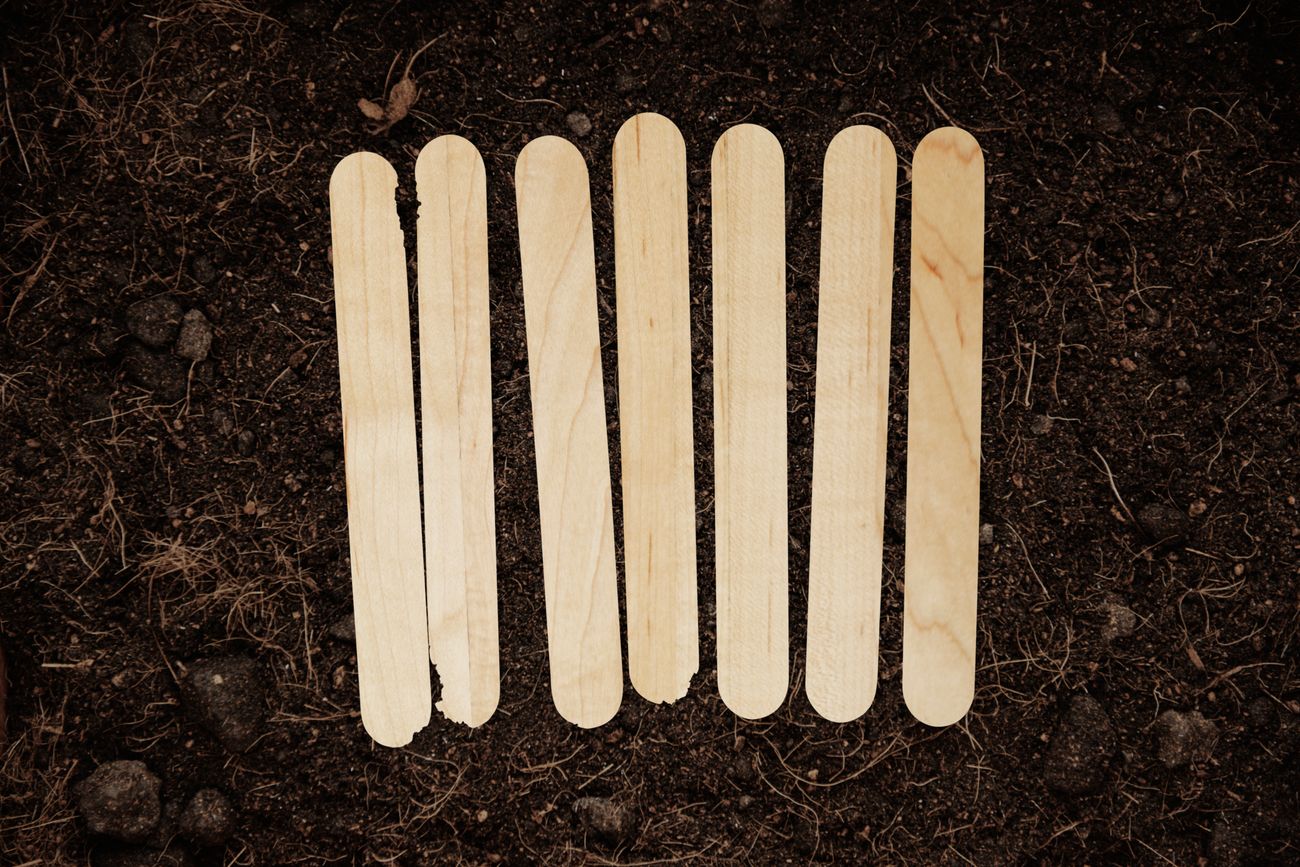 Tenés palitos de helado, tenés un tesoro: cómo reutilizarlos en jardinería.