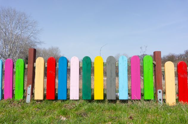 Tenés palitos de helado, tenés un tesoro: cómo reutilizarlos en jardinería.