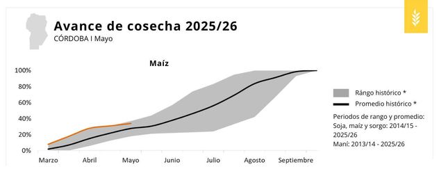 La cosecha del maíz en la campaña actual.