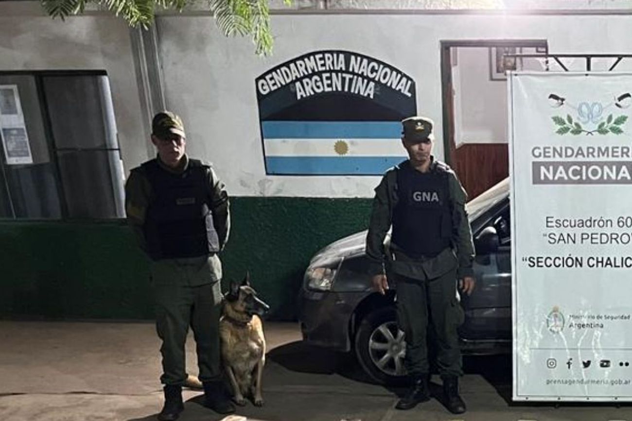 Jujuy:el can antinarcóticos “Doli” alertó a los gendarmes y descubrieron 42 kilos de cocaína dentro de un automóvil