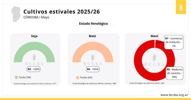 Estado fenológico de la soja, el maíz y el maní.