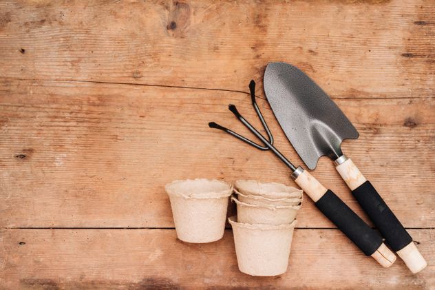 Tenés palitos de helado, tenés un tesoro: cómo reutilizarlos en jardinería.