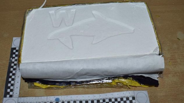 Jujuy:el can antinarcóticos “Doli” alertó a los gendarmes y descubrieron 42 kilos de cocaína dentro de un automóvil