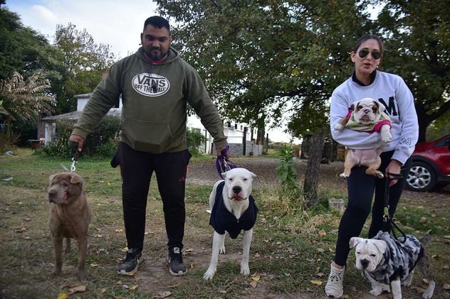 Plantean la creación de un código de bienestar animal. 
