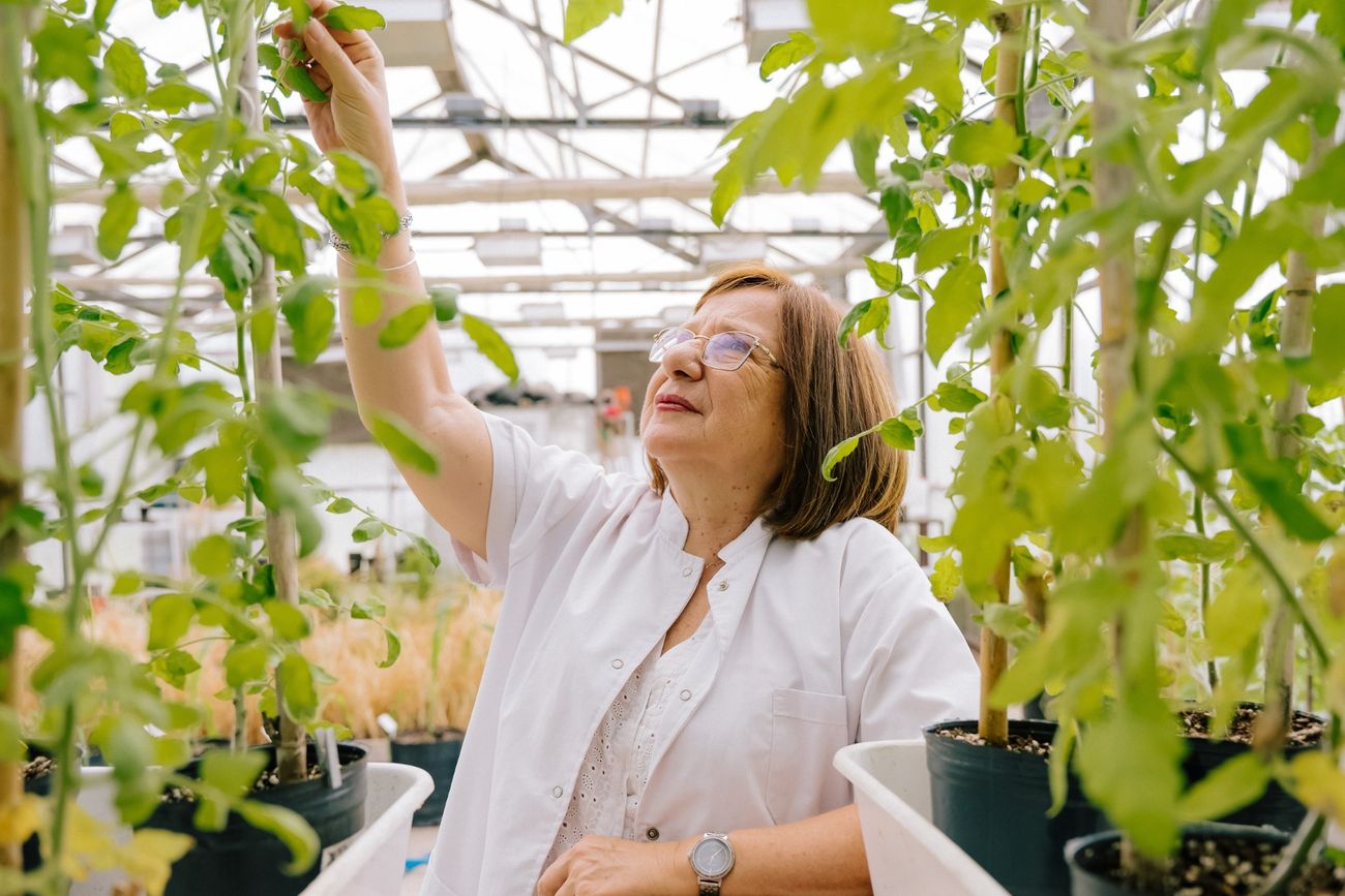 Científica argentina fue galardonada con el premio L'Oreal Unesco por descubrir genes que mejoran la tolerancia de las plantas a cambios ambientales