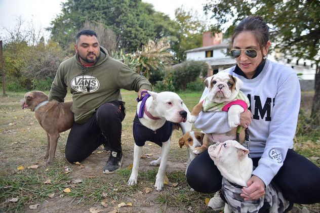 Eve Camuzzi, de Hocicos Felices: "No tenemos refugios. Cuando nos piden ayuda de las fiscalías, los enviamos a guarderías". 