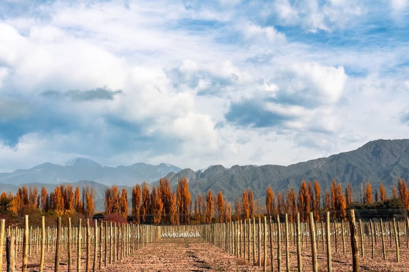 Visitá Mendoza con OLA Argentina.