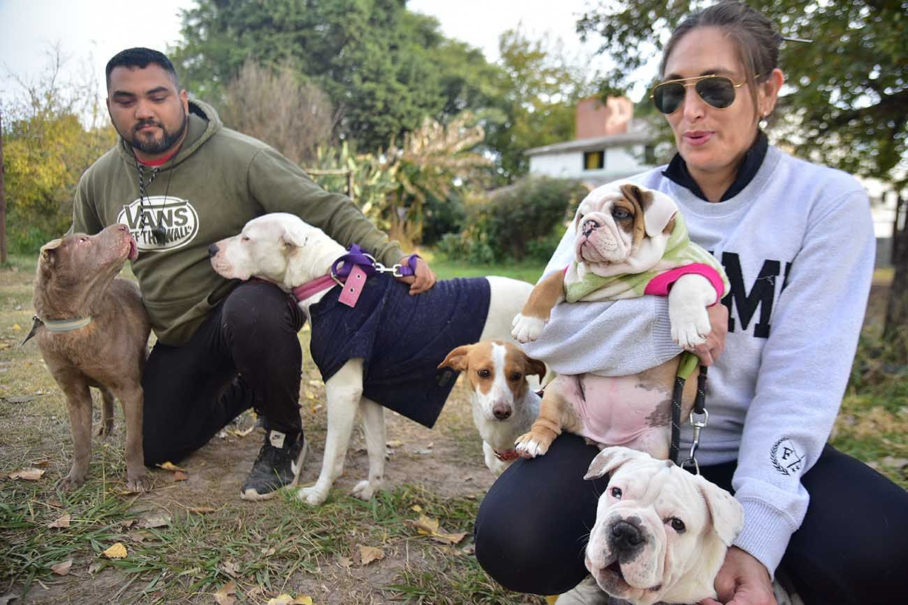 Refugio School Can. animales judicializados, sin refugios públicos sus destinos dependen de Ongs. 