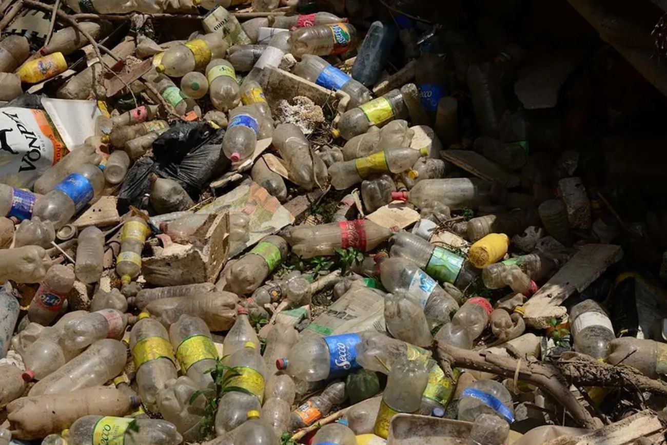 Botellas de plástico, uno de los mayores contaminantes en el mundo.