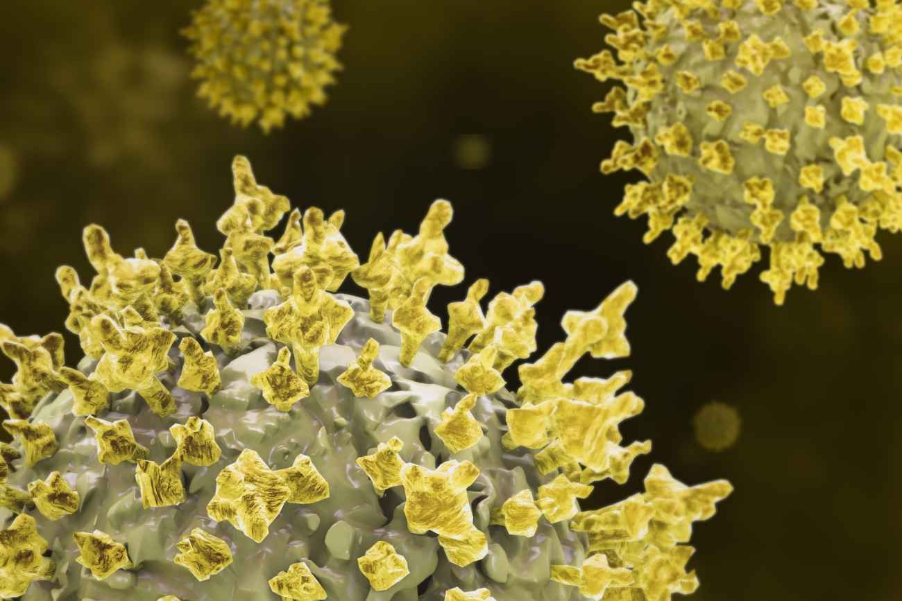 Mielofibrosis: alertan que casi todos los pacientes desarrollan anemia