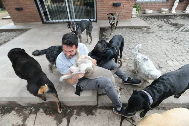 Canziani en el refugio para perros rescatados. 