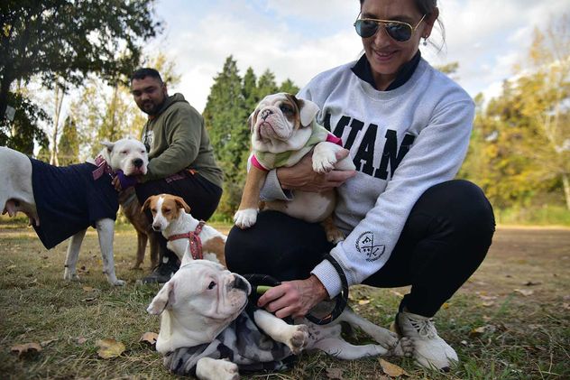 Generalmente, cuando la Justicia interviene en el rescate de los animales, contacta a las proteccionistas o a adoptantes para dejarlos a su cuidado.