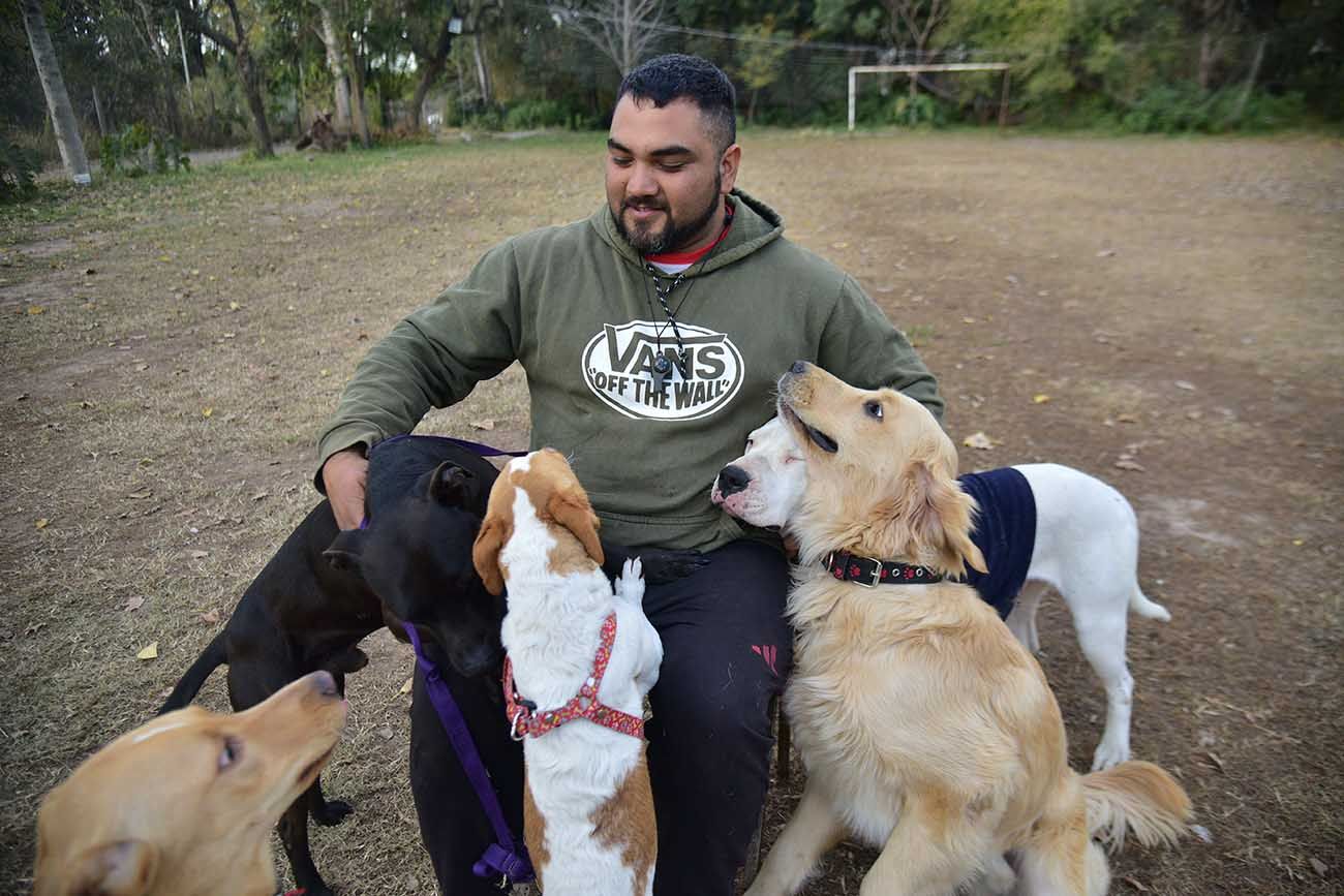 El drama de los animales judicializados: sin refugios públicos sus destinos dependen de ONGs colapsadas. 